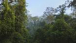 Forêts sub/tropicales humides à feuilles caduques