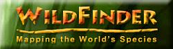 wildfinder1x1