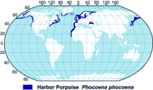 HarborPorpoiseRangeMap-xsm