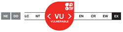 Vulnerable - VU - Vulnérable