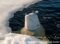 adult-beluga-whale-with-head-above-water