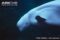 beluga-whale-swimming-underwater