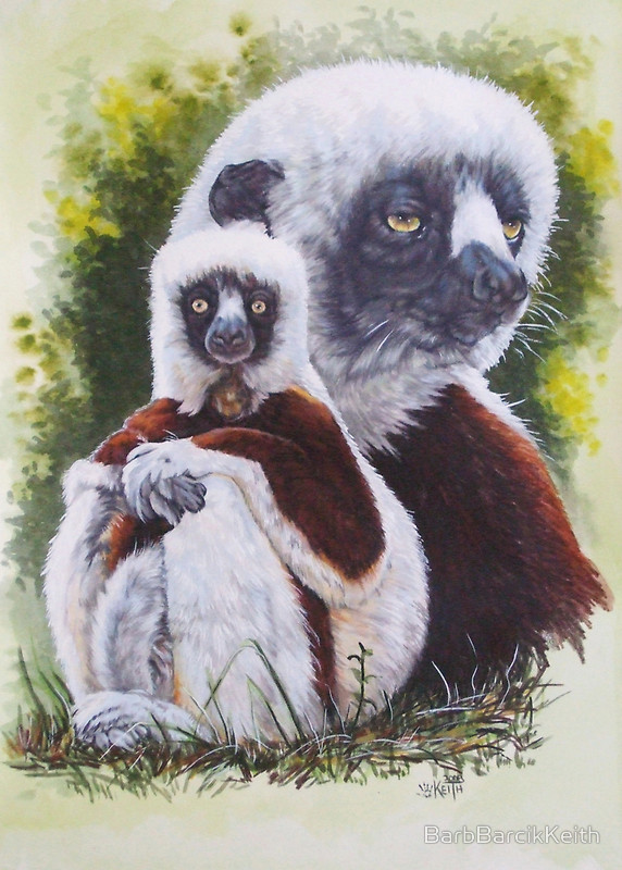 Bienvenue dans le Monde des MammifèresPropithecus coquereli Bienvenue